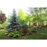 Permaloc ProSlide Aluminum Landsacpe Edging Black Duraflex 3/16 in. x 5-1/2 in. x 16 ft.