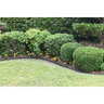 Pro-Steel Steel Landscape Edging Unpainted 10 Gauge 1/8 in. x 6 in. x 10 ft.