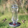 Perky Pet Hummingbird Feeder Starglow Vintage 16 oz.