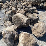 Palletized Native Moss Rock Boulders