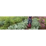 Mantis 2-Cycle Tiller/Cultivator