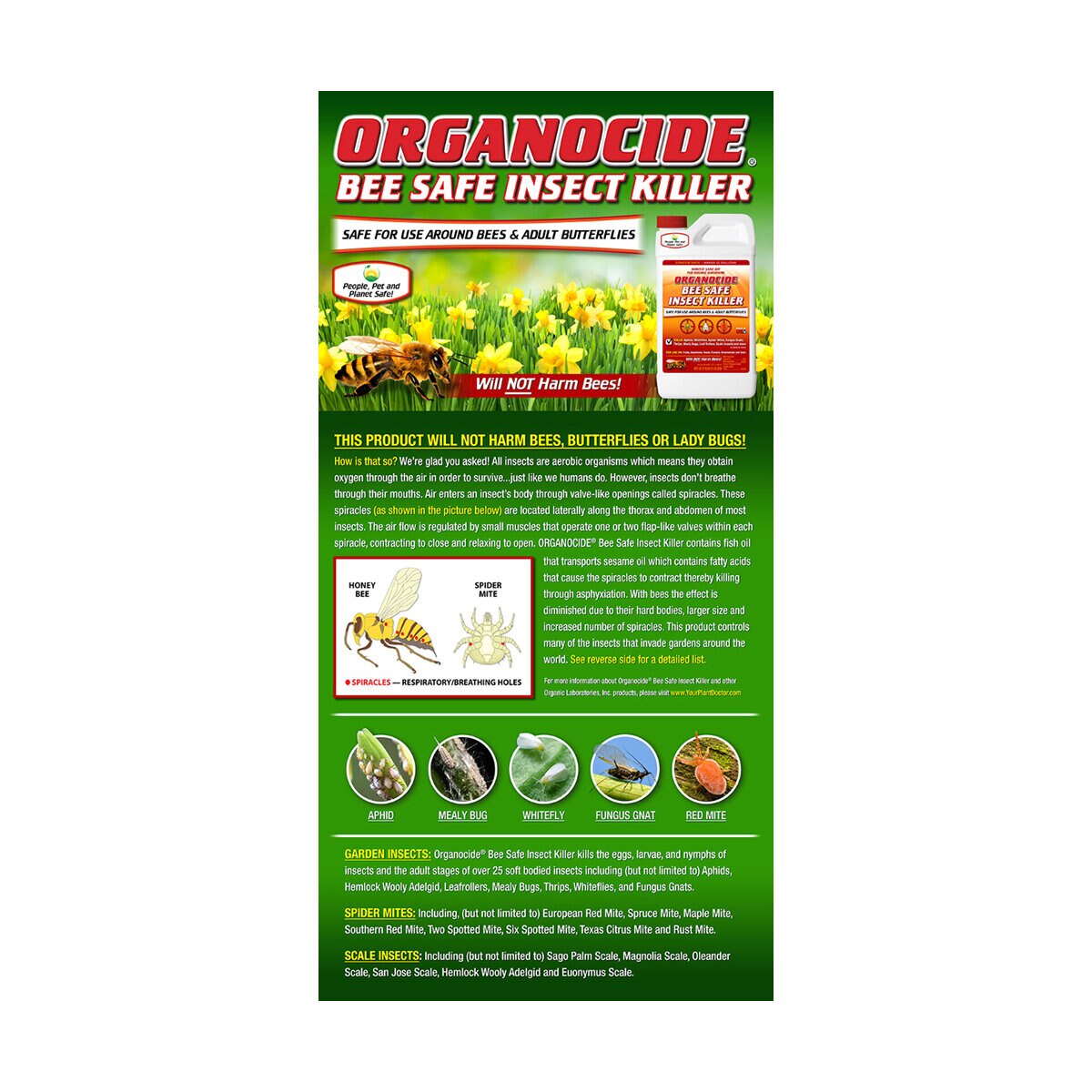 Bee Safe Insect Killer Concentrate 1 qt | SiteOne US