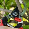 Corona Bypass Pruner