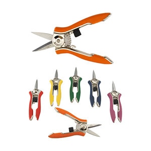 Compact Shear Display Box