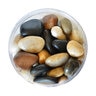 Mosser Lee Mixed River Stones 5 lb. Jars (8 jars/case)