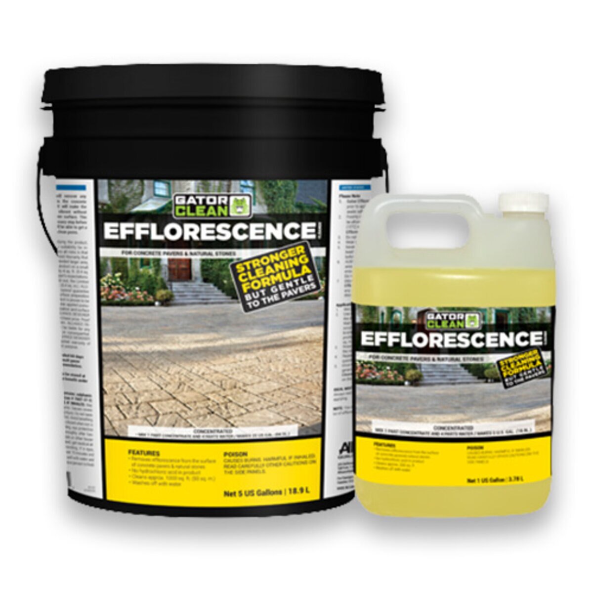 Cambridge Alliance Gator Pro Grade Efflorescence Cleaner 5 Gal | SiteOne US