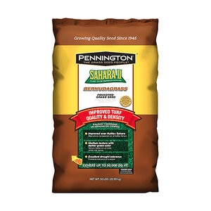 Sahara II Bermuda Seed unhulled & coated (50# bag)