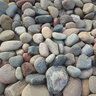 Bulk Rocky Mountain Cobbles 6 in. - 12 in.