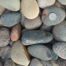Bulk Rocky Mountain Cobbles 6 in. - 12 in.