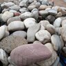 Bulk Rocky Mountain Cobbles 4 - 8 in.