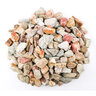 Bulk Palomino Gold 1 in. Screened