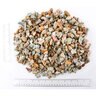 Bulk Palomino Gold 1/2 in. Screened
