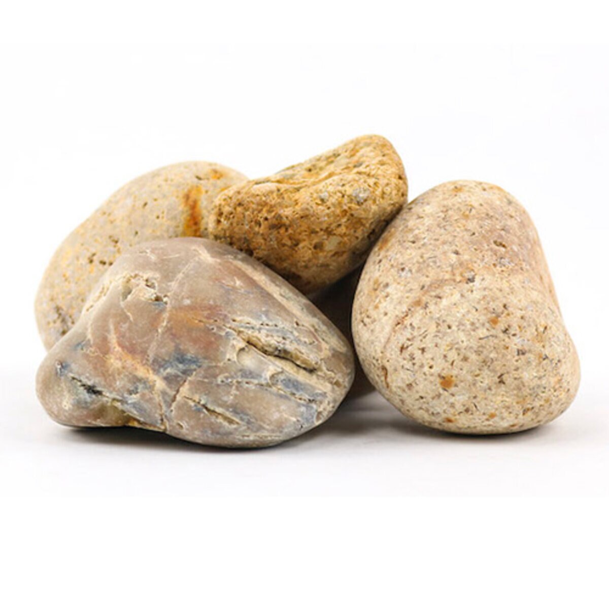 Palletized Mexican Beach Pebbles Buff 1 - 2 in | SiteOne US