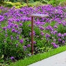 CAST Lighting LLC Cast Classic Prairie Area/Path Light - Elegant Design for Outdoor Illumination, Ideal for Pathways and Landscapes