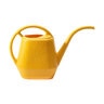 Bloem 144 oz. Aqua Rite Watering Can in Trend