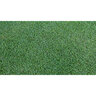 Bermuda Sod Bimini Bermudagrass (per sq. ft.)