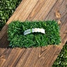 Zoysia Sod SodPod Zoysiagrass 18 Count Plug Flat