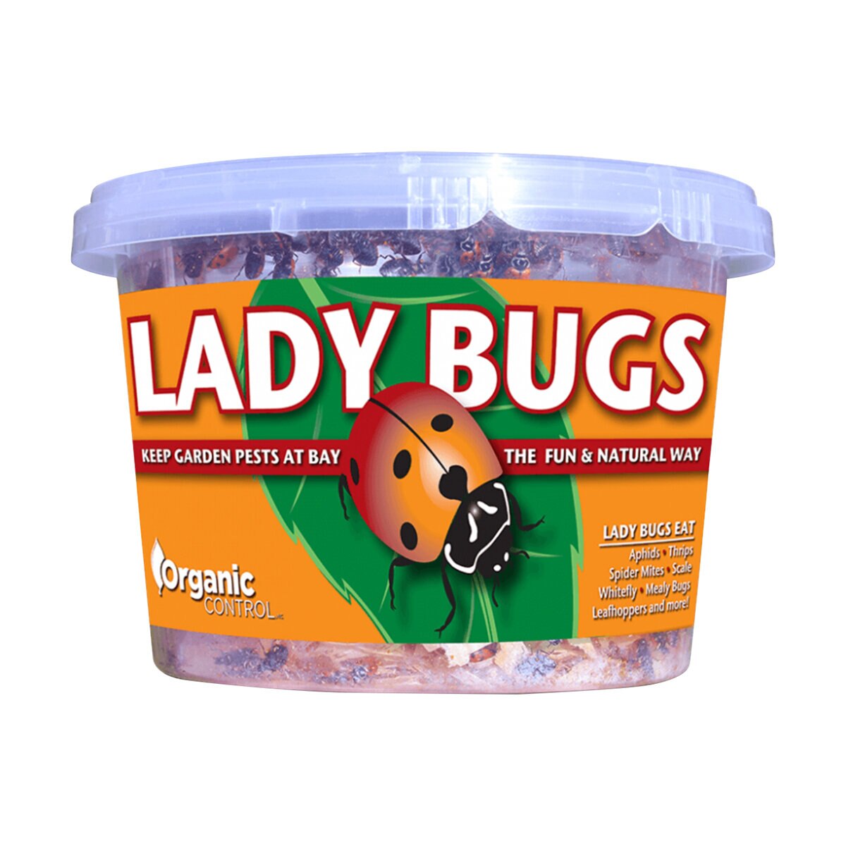 Live Ladybugs | SiteOne US