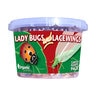 Ladybugs/Green Lace Wings
