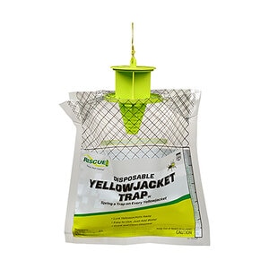 Rescue Yellow Jacket Trap - East