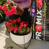 Pro-Mix Organic Container Mix 2 cu. ft. Bag