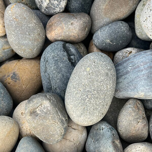 Palletized Mexican Beach Pebbles Mixed Color 1 - 2 in.