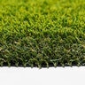 TI Daytona 80 Synthetic Turf 84 oz. Total Weight 1-1/2 in. Jia Green/Jia Olive Blades Green/Yellow Thatching