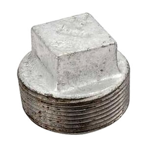Galvanized Plug 2 in. 