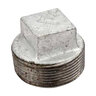 Galvanized Plug 2 in. 