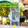 Rescue WHY Trap for Wasps, Hornets & Yellowjackets Insect Trap