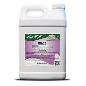 Inlay Deposition Aid