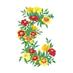 Marigold French Flower Seed Favourite Blend 500 mg