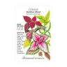 Coleus Rainbow Blend Flower Seed 150 mg