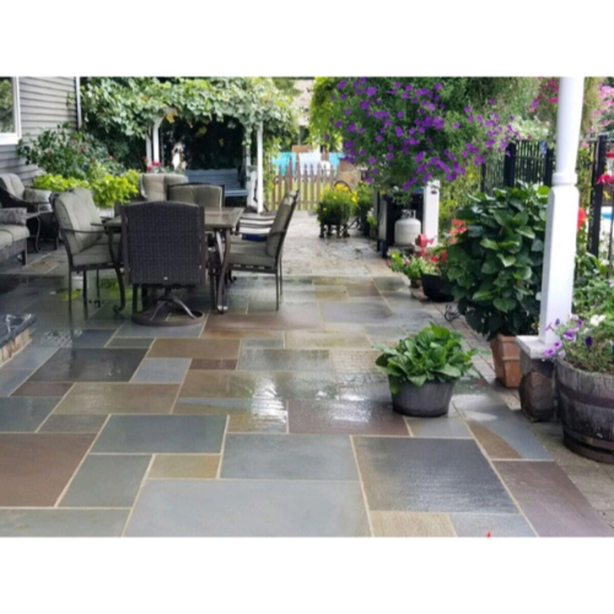 Dimensional Bluestone Full Color Tumbled 2 in. x 12 in. x 24 in ...