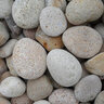 Palletized Mexican Beach Pebbles Buff