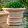 Planter Classic Double Rolled Rim Terra Cotta 27 in. x 20-1/2 in.