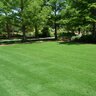 Bermuda Sod NorthBridge Bermudagrass (per sq. ft.)