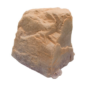 27Lx21Wx25H Autumn Bluff Dekorra