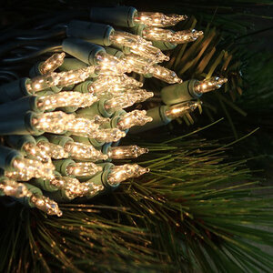 50L Mini 6 Spacing, Clear, Incandescent, Green Wire