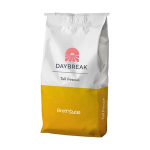 Daybreak Tall Fescue Seed 1 lb.
