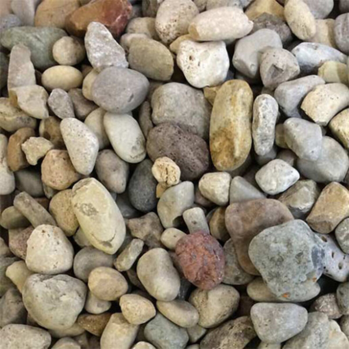 Bagged Whittlesey River Rock 5/8 in. | SiteOne US