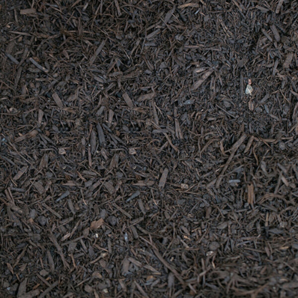 Whittlesey Organic Screened Compost 1 cu. ft. Bag | SiteOne US