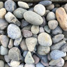 Bulk Rocky Mountain Cobbles 1 in. - 3 in.