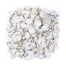 Bulk Washed Seashell Medium