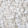 Bulk Washed Seashell Medium
