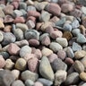 Bulk Rainbow Red River Pebbles (Pami) 3/4 in.