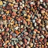 Bulk Rainbow Red River Pebbles (Pami) 3/4 in.
