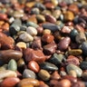 Bulk Rainbow Red River Pebbles (Pami) 3/4 in.