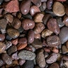 Whittlesey River Rock Arizona 1 1/2 - 3 in. (40 lb. Bag)
