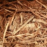 SNSA Single Shredded Cedar Mulch Bulk (per cu. yd.)